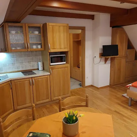 Apartmaji Vesna 公寓 博希尼