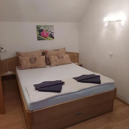 Appartamento Apartmaji Vesna *