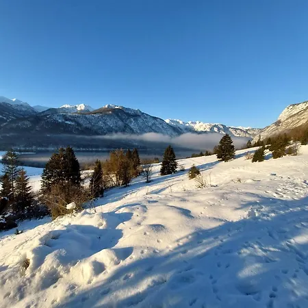 公寓 Apartmaji Vesna *