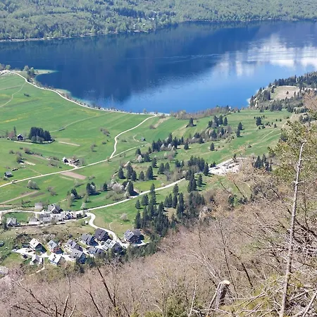 Apartmaji Vesna * Bohinj