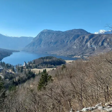 Apartmaji Vesna * Bohinj