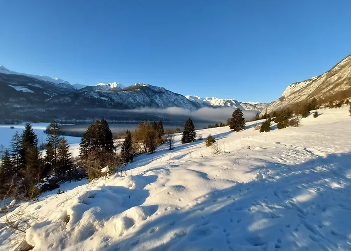 Apartamento Apartmaji Vesna *