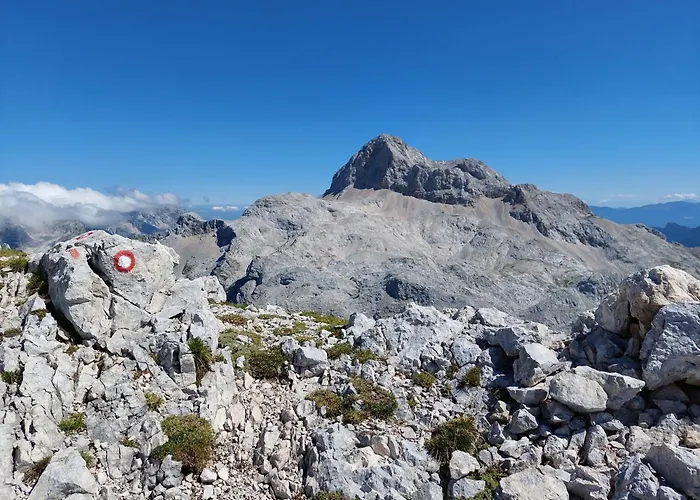 Apartmaji Vesna Apartamento