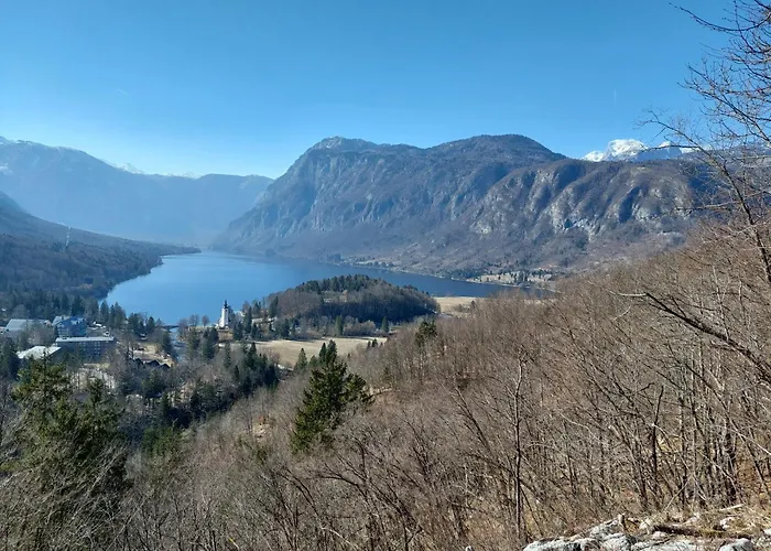 Apartmaji Vesna * Bohinj